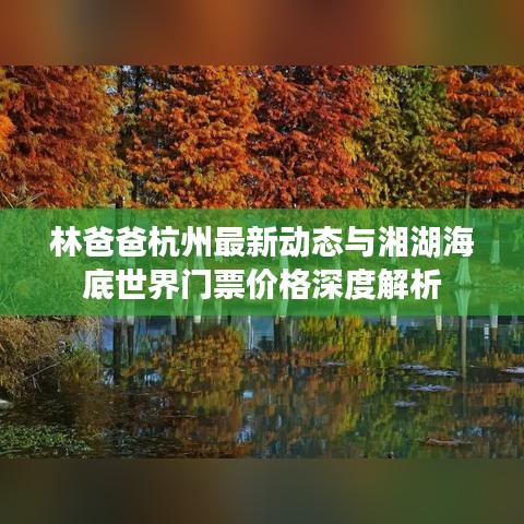 林爸爸杭州最新动态与湘湖海底世界门票价格深度解析