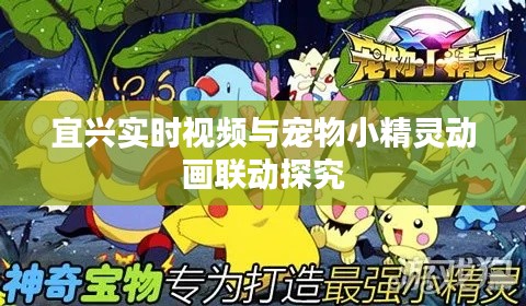 宜兴实时视频与宠物小精灵动画联动探究