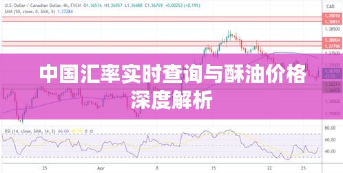 中国汇率实时查询与酥油价格深度解析