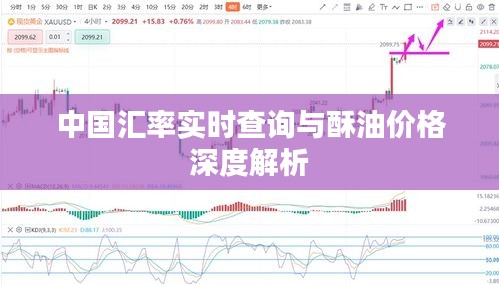 中国汇率实时查询与酥油价格深度解析