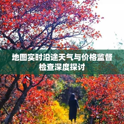 地图实时沿途天气与价格监督检查深度探讨