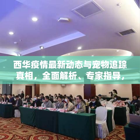 西华疫情最新动态与宠物追踪真相，全面解析、专家指导，揭露虚假宣传