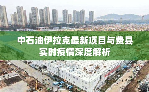 中石油伊拉克最新项目与费县实时疫情深度解析