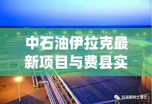 中石油伊拉克最新项目与费县实时疫情深度解析