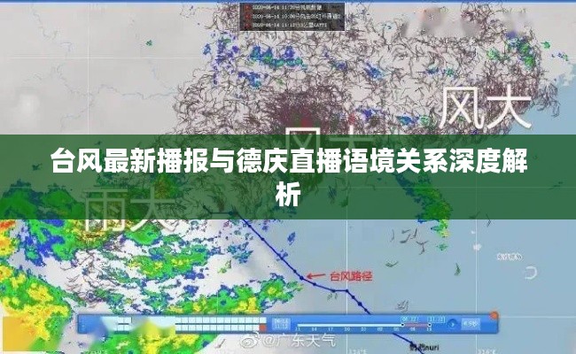 上海鲜花 第7页