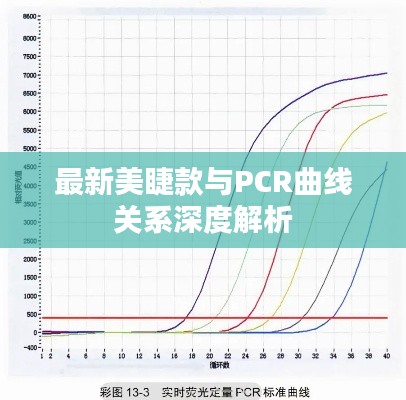 最新美睫款与PCR曲线关系深度解析