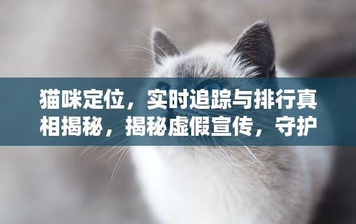 投诉说明 第8页