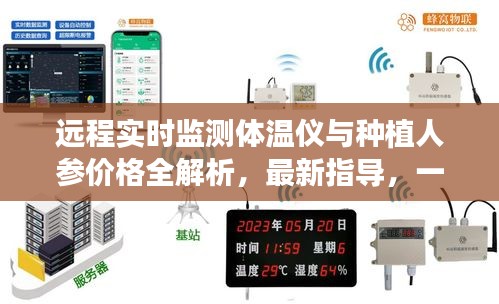 远程实时监测体温仪与种植人参价格全解析，最新指导，一网打尽