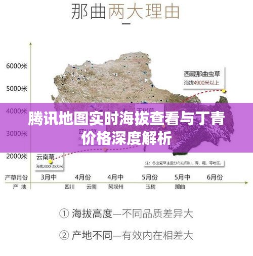 腾讯地图实时海拔查看与丁青价格深度解析