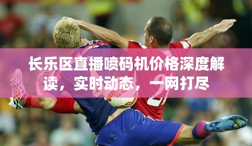 长乐区直播喷码机价格深度解读，实时动态，一网打尽