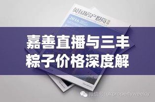 嘉善直播与三丰粽子价格深度解读，最新动态与趋势分析