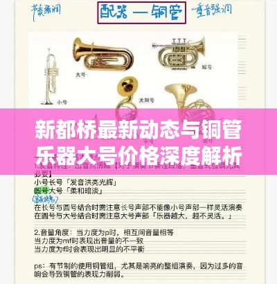 新都桥最新动态与铜管乐器大号价格深度解析