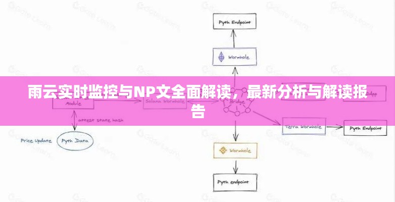 雨云实时监控与NP文全面解读，最新分析与解读报告