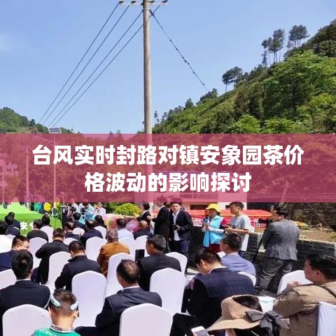 台风实时封路对镇安象园茶价格波动的影响探讨