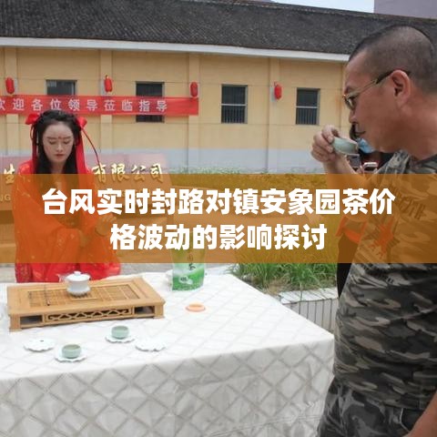 台风实时封路对镇安象园茶价格波动的影响探讨