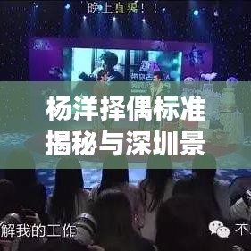 杨洋择偶标准揭秘与深圳景点实时探访,真实之旅 VS 虚幻边界