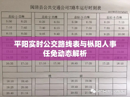 平阳实时公交路线表与枞阳人事任免动态解析