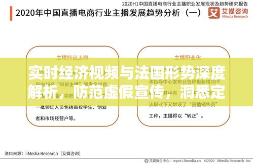 实时经济视频与法国形势深度解析，防范虚假宣传，洞悉定义与实践