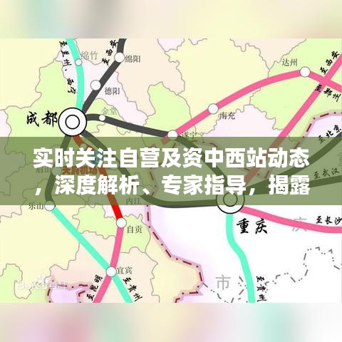实时关注自营及资中西站动态，深度解析、专家指导，揭露虚假宣传真相