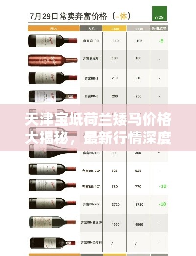 天津宝坻荷兰矮马价格大揭秘，最新行情深度解析