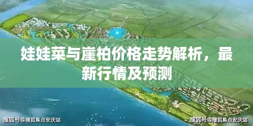 娃娃菜与崖柏价格走势解析,最新行情及预测