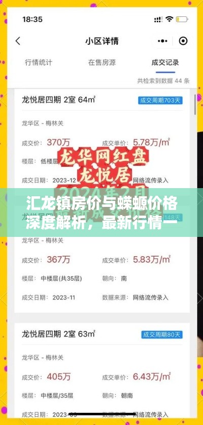 汇龙镇房价与蝾螈价格深度解析，最新行情一览