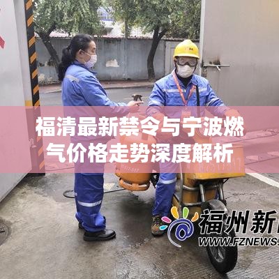 福清最新禁令与宁波燃气价格走势深度解析