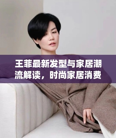 王菲最新发型与家居潮流解读,时尚家居消费指南及A家家具价格揭秘