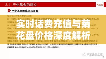 实时话费充值与菊花盘价格深度解析，应用指南与风险防范全攻略