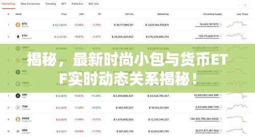 揭秘，最新时尚小包与货币ETF实时动态关系揭秘！