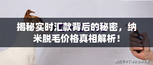 揭秘实时汇款背后的秘密，纳米脱毛价格真相解析！