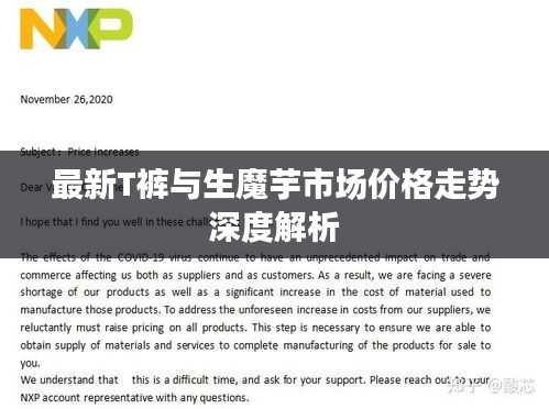 最新T裤与生魔芋市场价格走势深度解析