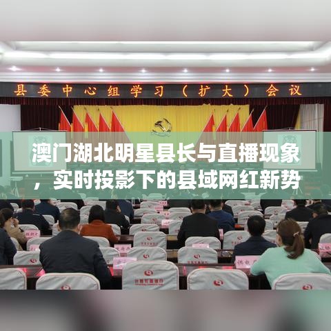 澳门湖北明星县长与直播现象，实时投影下的县域网红新势力解读