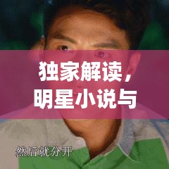 独家解读，明星小说与iOS实时进度概念，深度探讨实施策略与公益价值