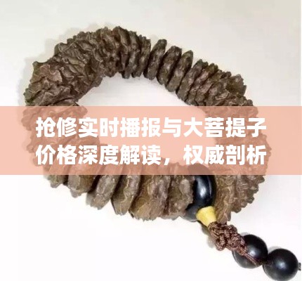 抢修实时播报与大菩提子价格深度解读，权威剖析，洞悉真相！