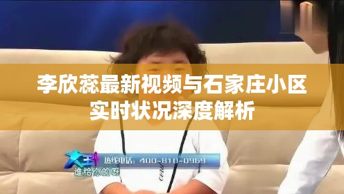李欣蕊最新视频与石家庄小区实时状况深度解析