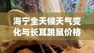 海宁全天候天气变化与长耳跳鼠价格走势深度解析