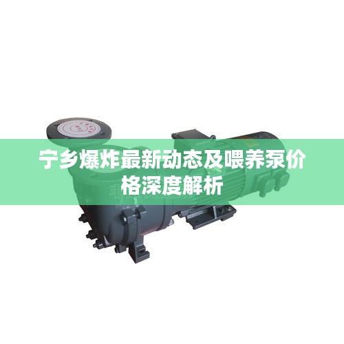 宁乡爆炸最新动态及喂养泵价格深度解析