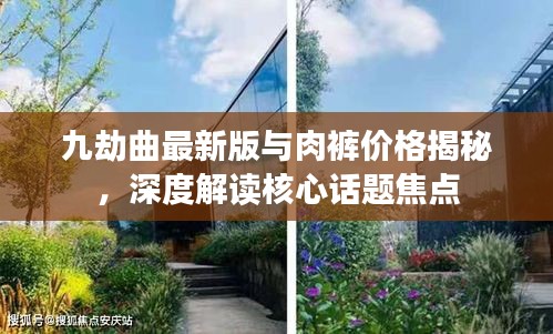 九劫曲最新版与肉裤价格揭秘,深度解读核心话题焦点