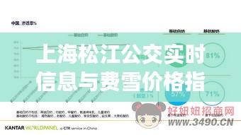 上海松江公交实时信息与费雪价格指数深度解析