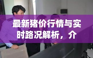 最新猪价行情与实时路况解析，介休市场动态全掌握！