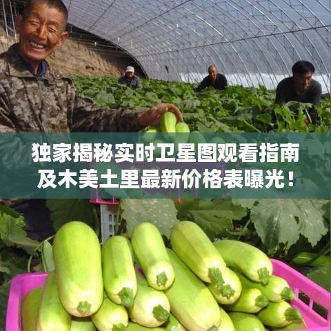独家揭秘实时卫星图观看指南及木美土里最新价格表曝光！