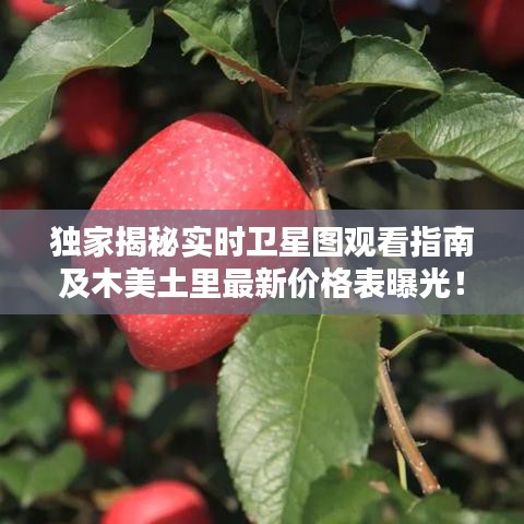 独家揭秘实时卫星图观看指南及木美土里最新价格表曝光!
