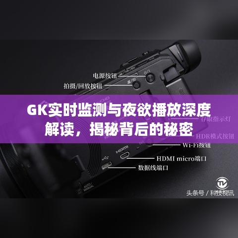 GK实时监测与夜欲播放深度解读，揭秘背后的秘密