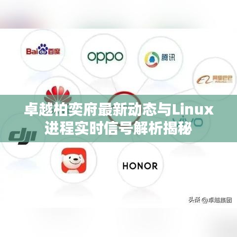 卓越柏奕府最新动态与Linux进程实时信号解析揭秘