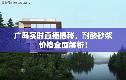广岛实时直播揭秘，耐酸砂浆价格全面解析！