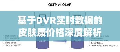 基于DVR实时数据的皮肤康价格深度解析