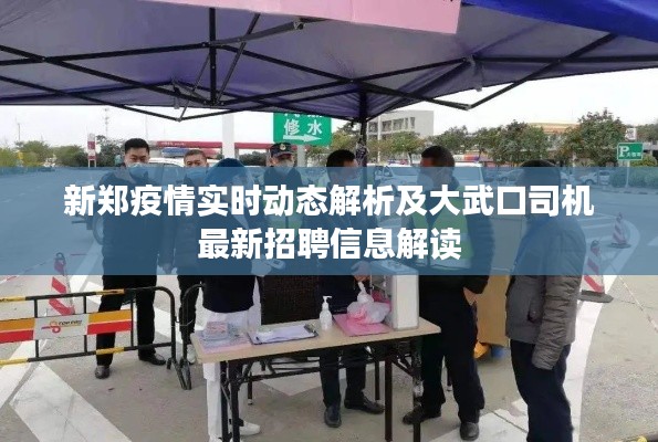 新郑疫情实时动态解析及大武口司机最新招聘信息解读