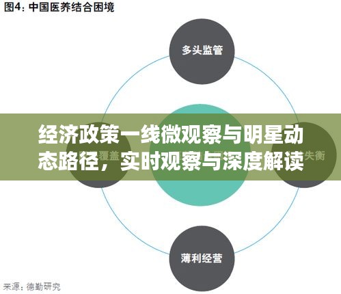 经济政策一线微观察与明星动态路径，实时观察与深度解读