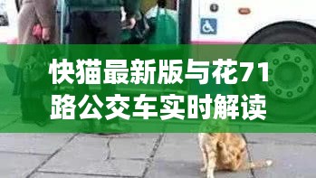 快猫最新版与花71路公交车实时解读，全面应对风险，安全出行指南